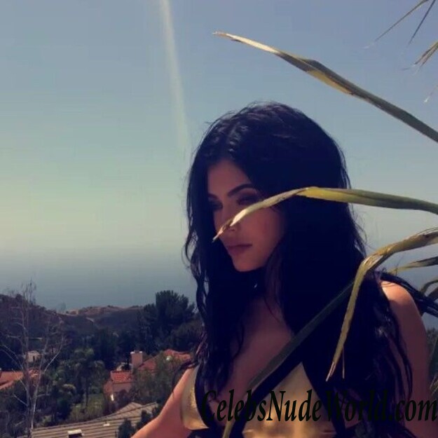 Sexy Photos of Kylie Jenner 116409
