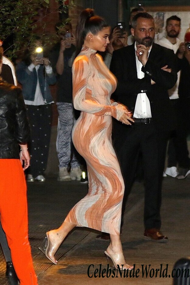 Kylie Jenner Sexy 120061