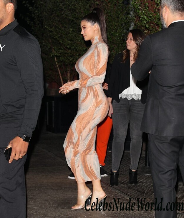 Kylie Jenner Sexy 120070