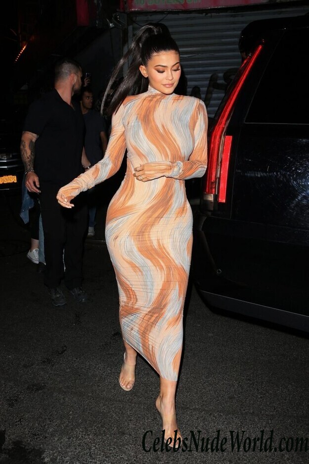Kylie Jenner Sexy 120077