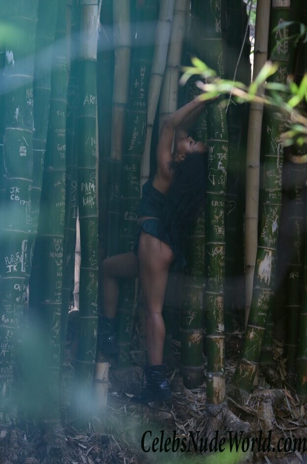 Lailanni Hussein Topless 120574