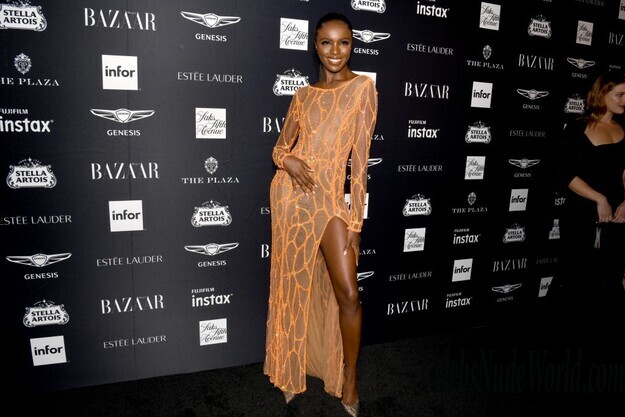 Leomie Anderson See Through 121945