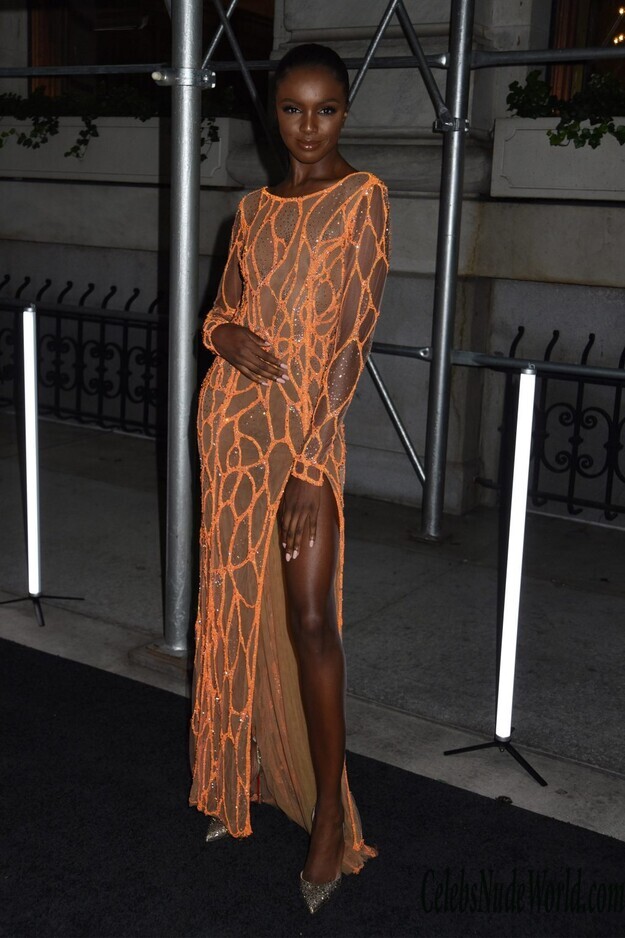 Leomie Anderson See Through 121946