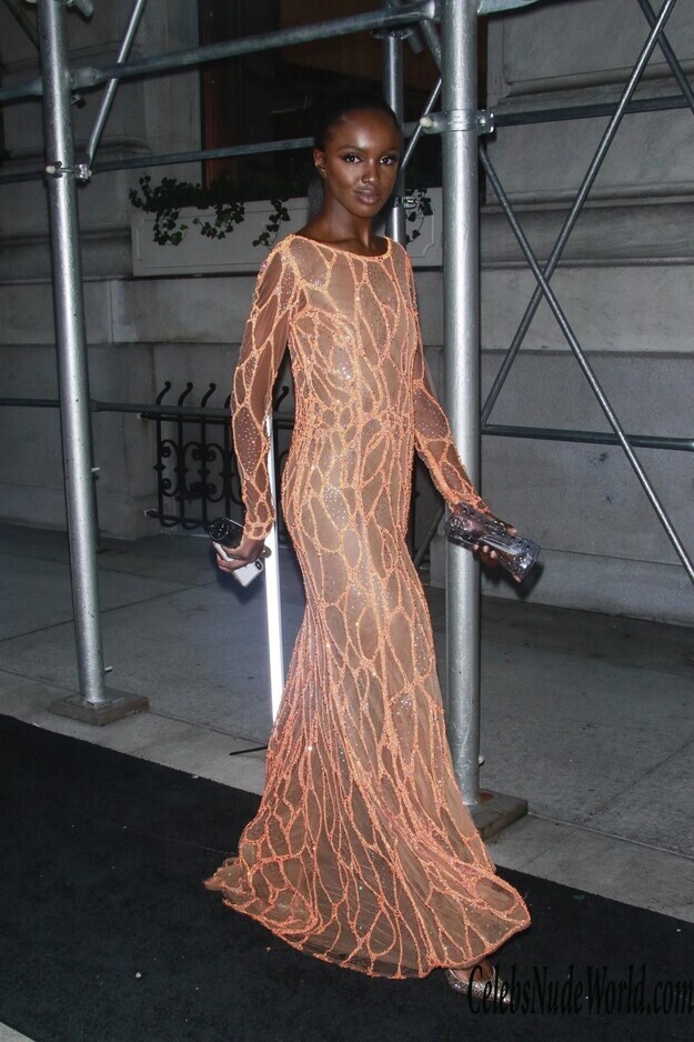 Leomie Anderson See Through 121960