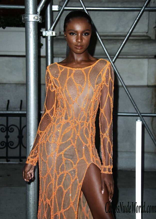 Leomie Anderson See Through 121962