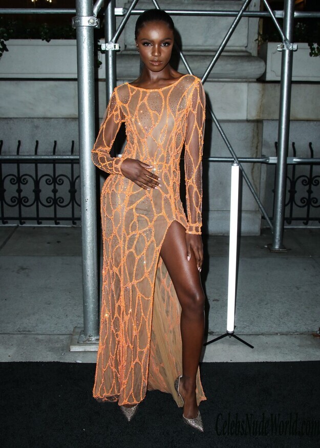 Leomie Anderson See Through 121964