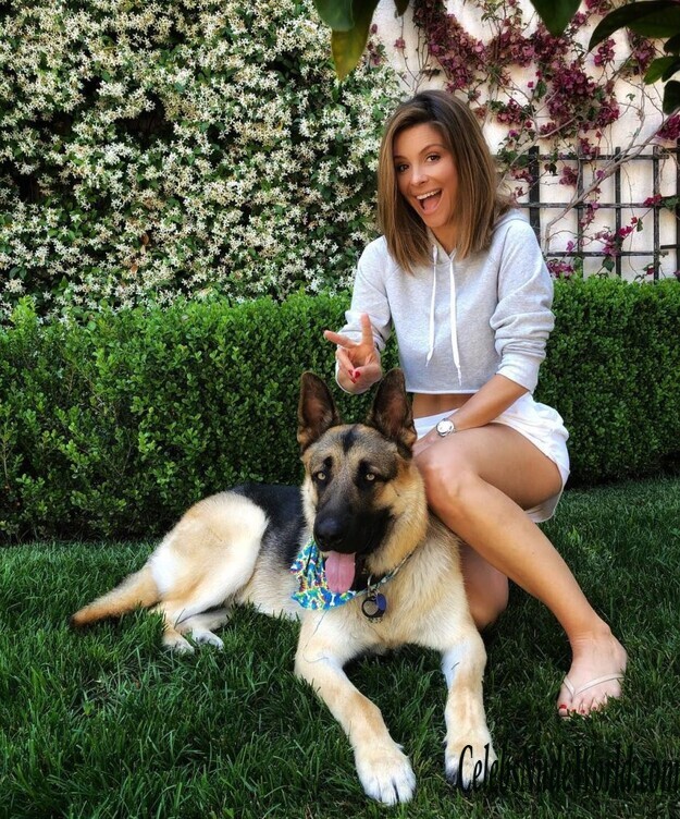 Maria Menounos Sexy 136393