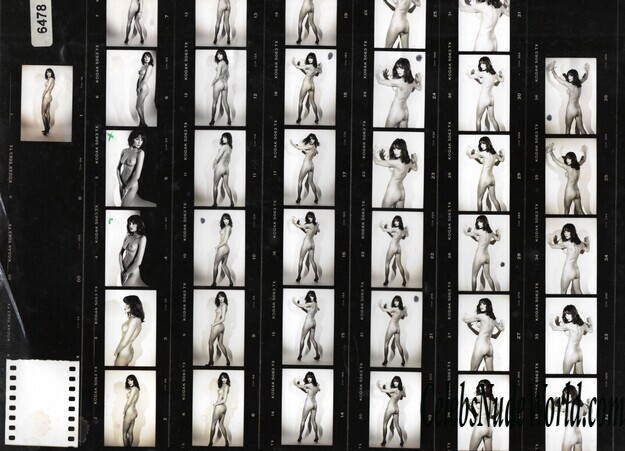 Melania Trump Naked Photos 138558