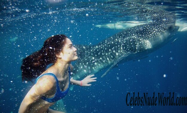 Michelle Bagarra Hot 139231