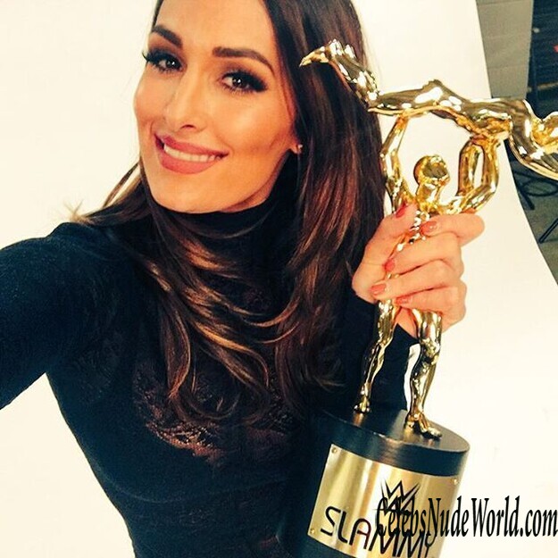 Sexy pics of Nikki Bella 149254