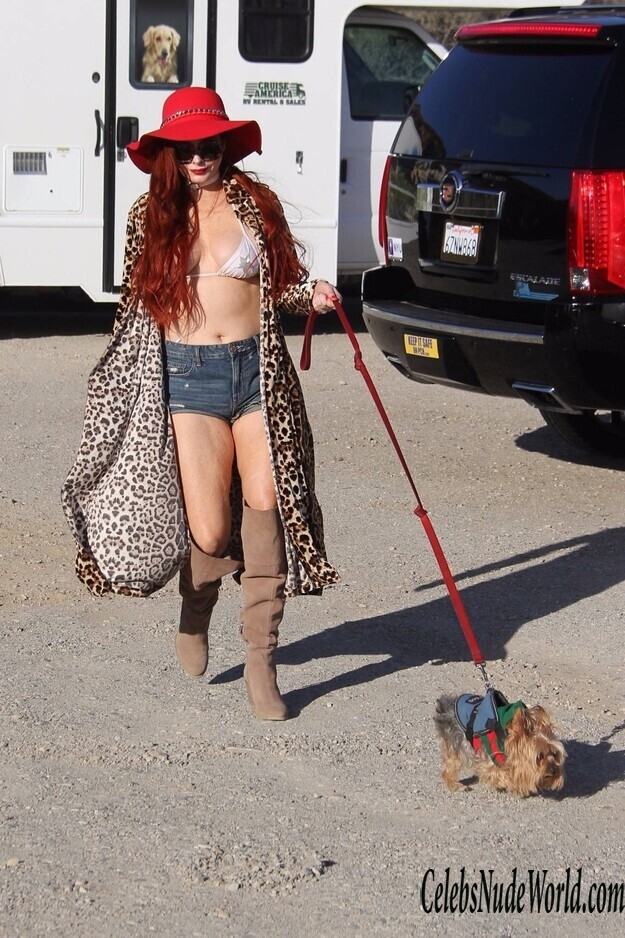 Phoebe Price Bikini 150543