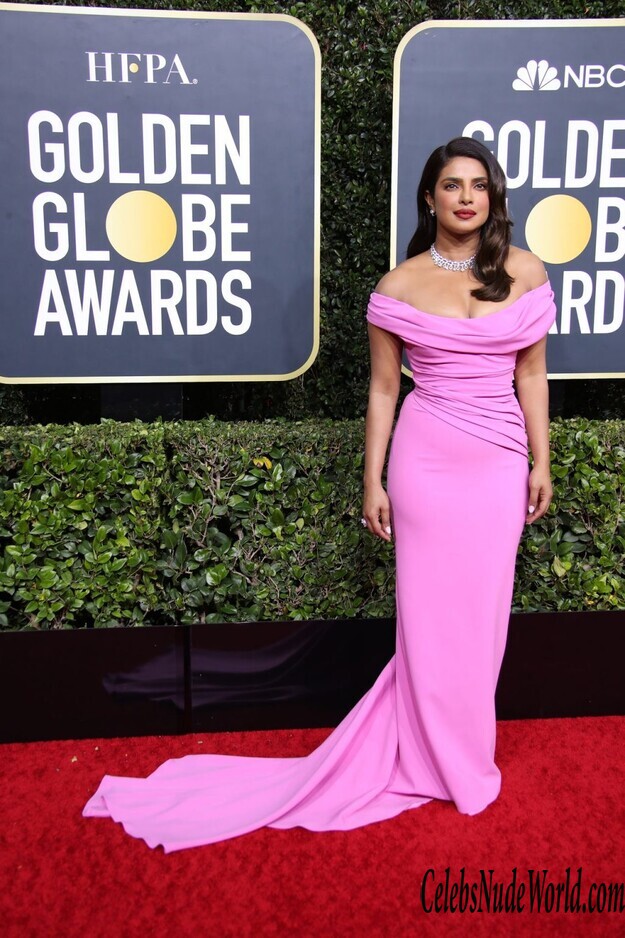 Priyanka Chopra Cleavage 151711