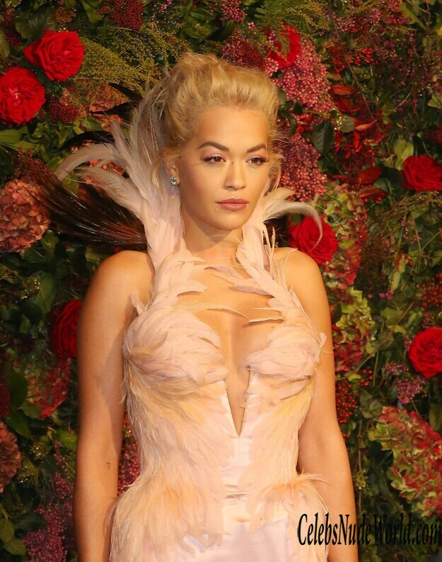 Rita Ora Cleavage 152101