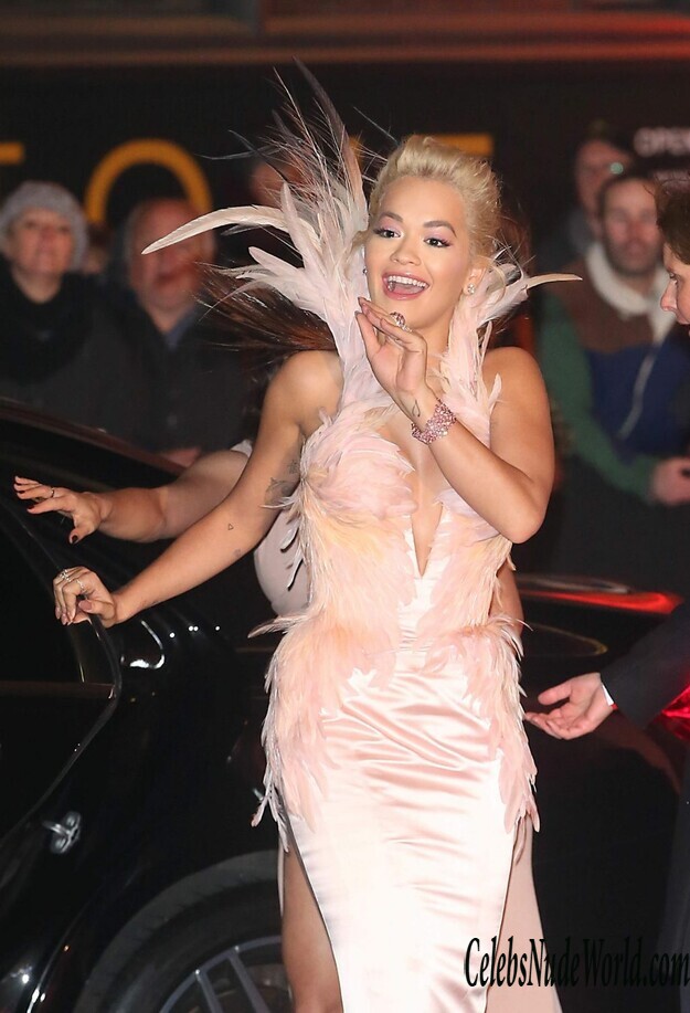 Rita Ora Cleavage 152104