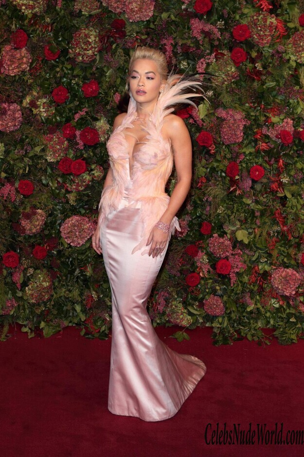 Rita Ora Cleavage 152110