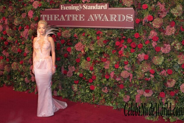 Rita Ora Cleavage 152112