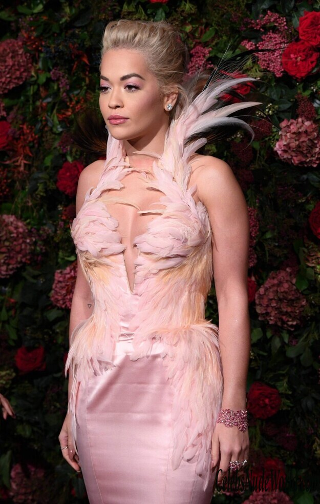 Rita Ora Cleavage 152133