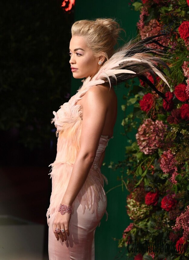 Rita Ora Cleavage 152158