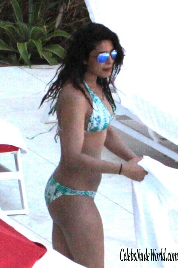 Priyanka Chopra Is Beautiful In Bikini 153343