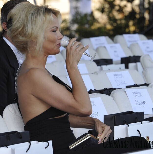 Pamela Anderson Is A Great Looking MILF 154405