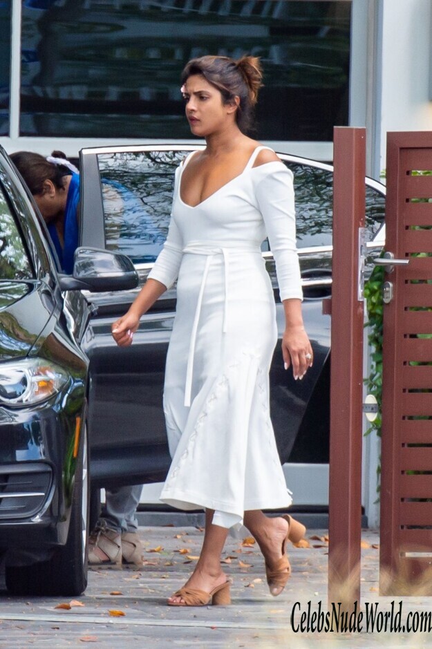 Priyanka Chopra Erotic 156038