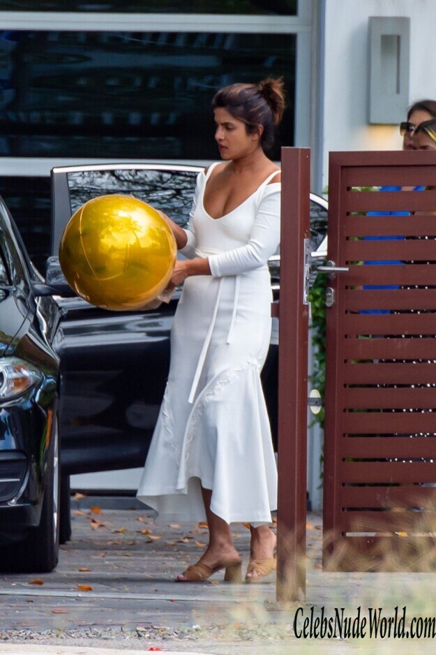 Priyanka Chopra Erotic 156042