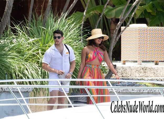 Priyanka Chopra Erotic 156043