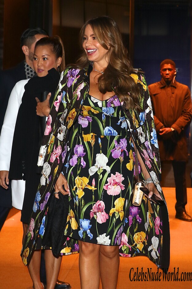 Sofia Vergara Sexy 159888