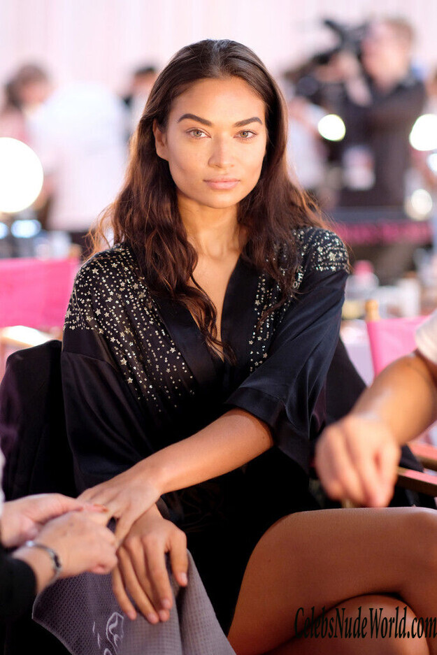 Shanina Shaik Hot 160136