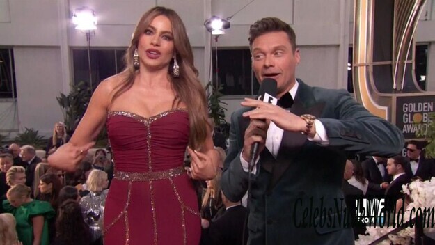 Sofia Vergara Cleavage 161506
