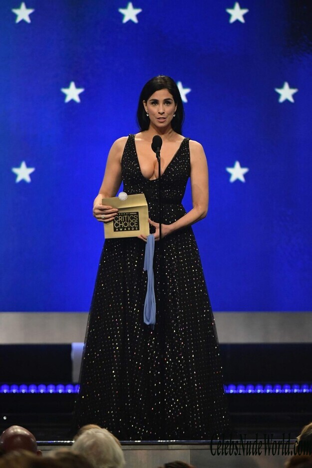 Sarah Silverman Cleavage 161708