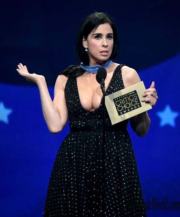 Sarah Silverman Cleavage 161709