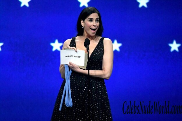 Sarah Silverman Cleavage 161710