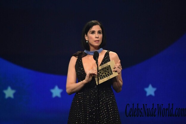 Sarah Silverman Cleavage 161714