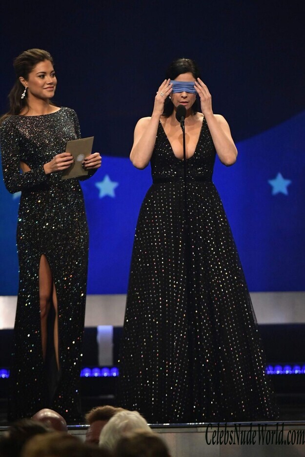 Sarah Silverman Cleavage 161715