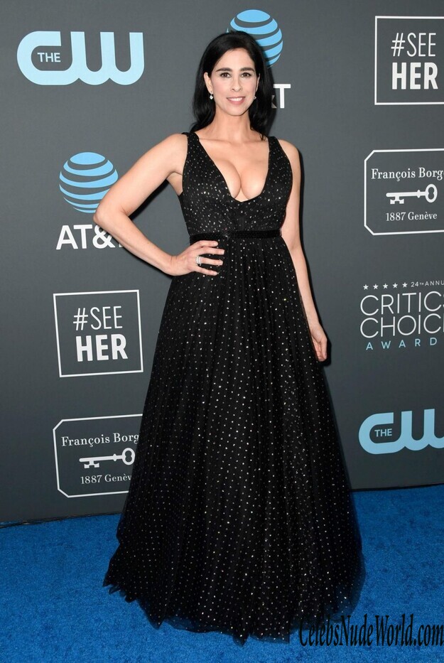 Sarah Silverman Cleavage 161729