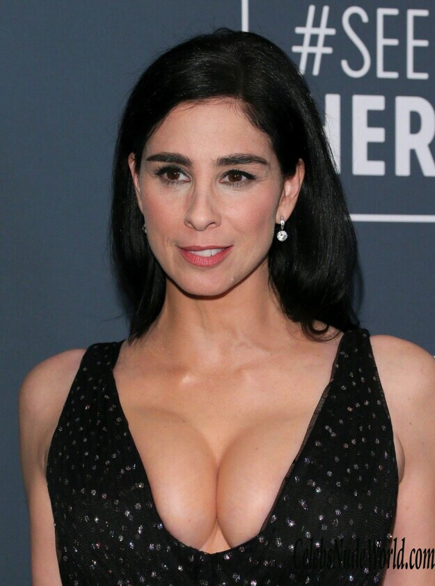Sarah Silverman Cleavage 161740