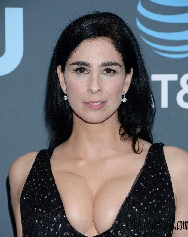 Sarah Silverman Cleavage 161741