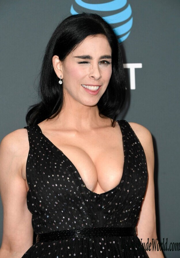Sarah Silverman Cleavage 161742
