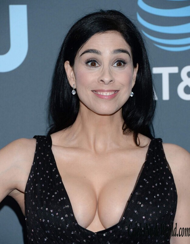 Sarah Silverman Cleavage 161743