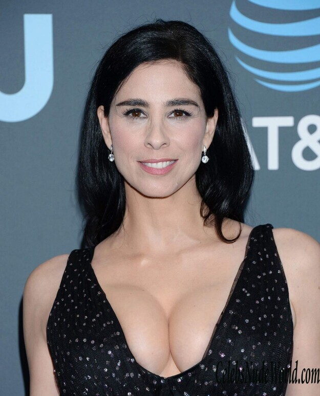 Sarah Silverman Cleavage 161744