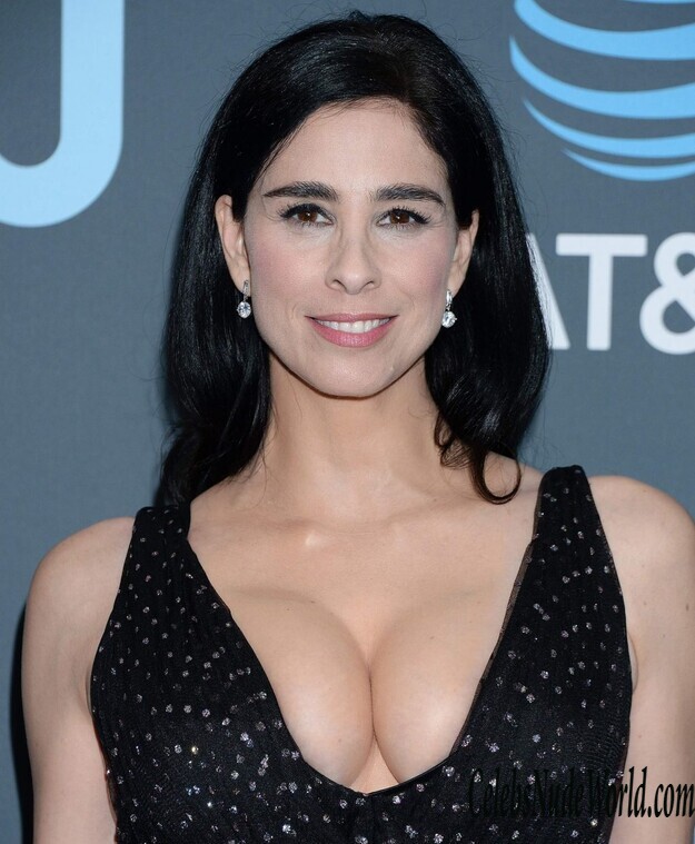 Sarah Silverman Cleavage 161745