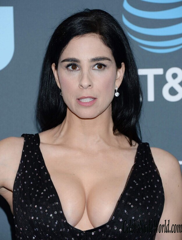Sarah Silverman Cleavage 161746