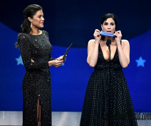 Sarah Silverman Cleavage 161748