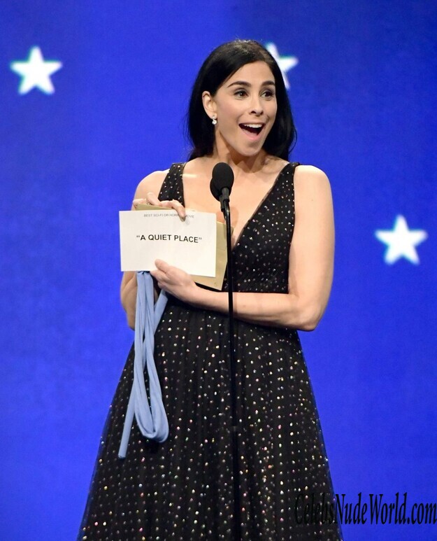 Sarah Silverman Cleavage 161752