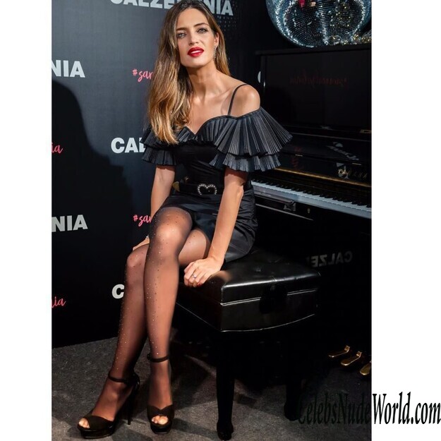 Sara Carbonero Sexy 163157