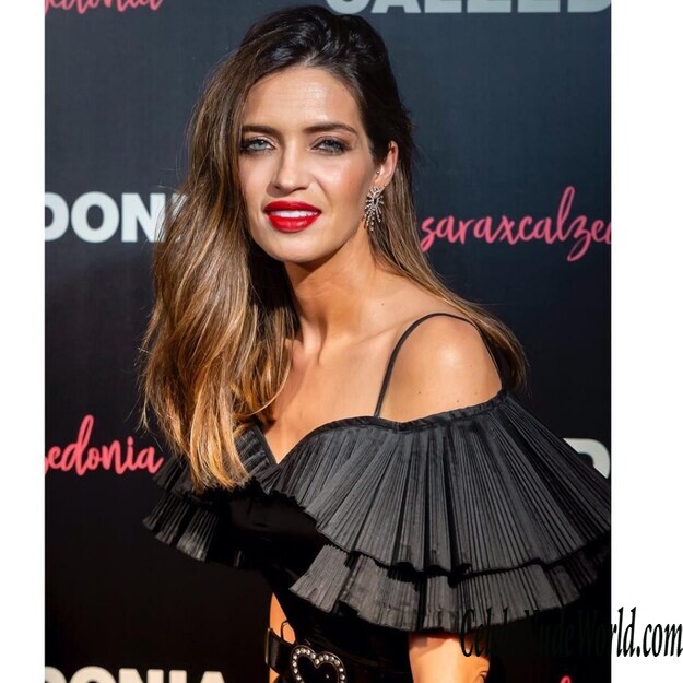 Sara Carbonero Sexy 163161