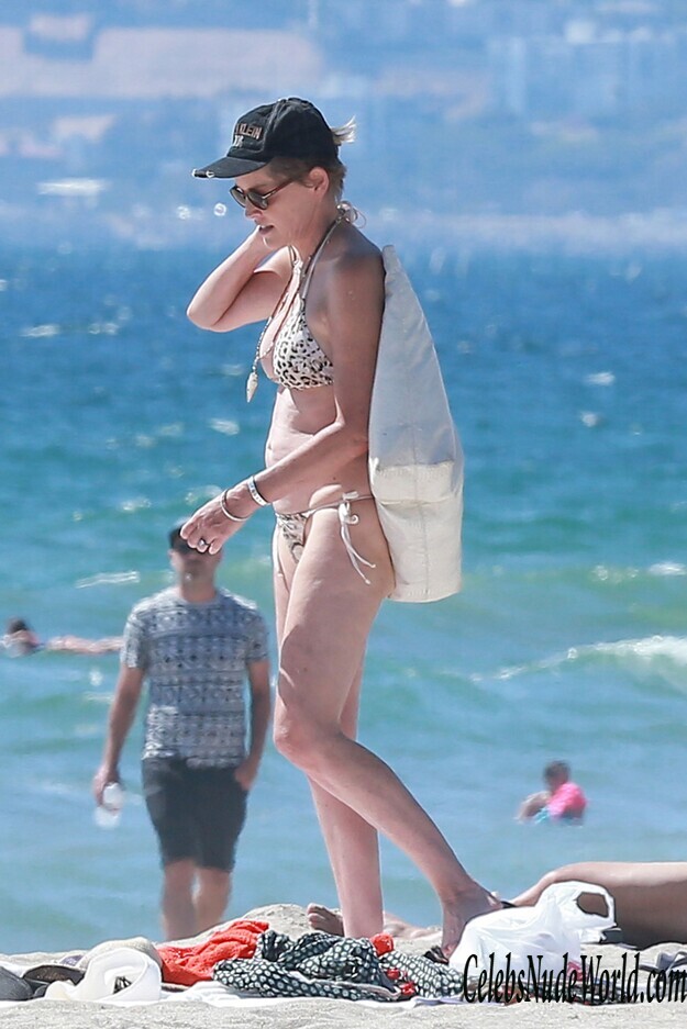 BoobSlip Photos of Sharon Stone 164508