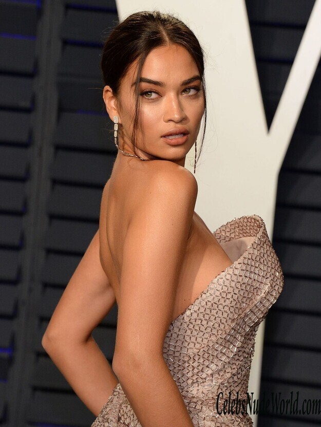 Shanina Shaik Nip Slip 165341