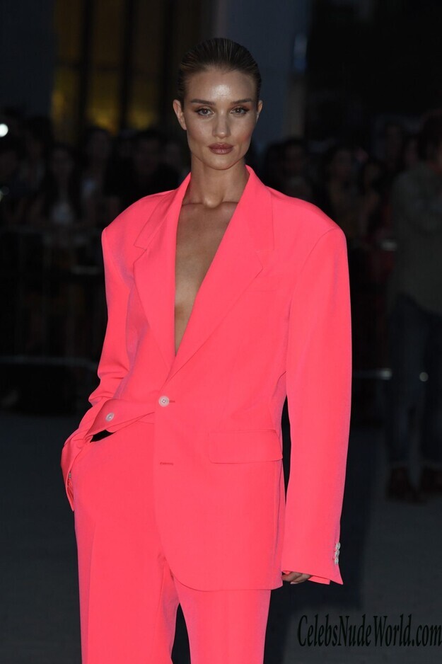 Rosie Huntington Whiteley Braless 165991